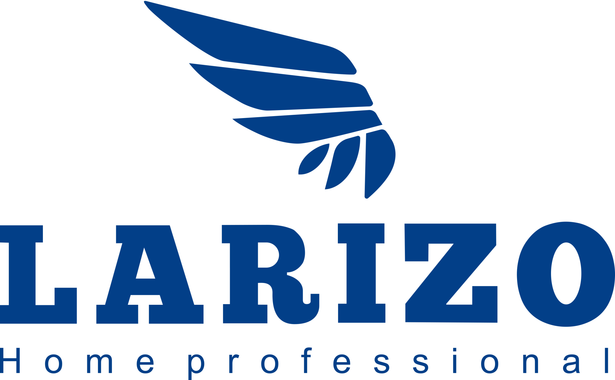 Larizo — Home professional